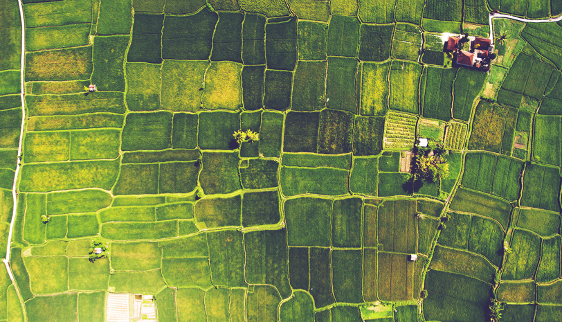 2020043015157720.png 2020043015157720.png